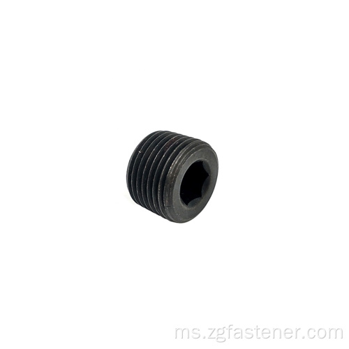 Palam skru keluli tahan karat keluli tahan karat hex plug DIN 906 Hexagon Socket Locking Screws Taper Thread Pipe Plugs